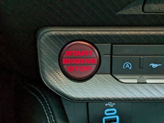 2025 Ford Mustang GT Fastback - 22879140 - 19