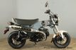2025 Honda Dax 125 In Stock Now! - 22918008 - 2