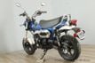 2025 Honda DAX 125 Just Arrived! - 22710889 - 9