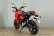 2025 Honda Grom INVENTORY-CLEARANCE - 22766012 - 9