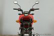 2025 Honda Grom INVENTORY-CLEARANCE - 22766012 - 5