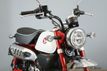 2025 Honda Monkey ABS 1 Available Now! - 22830805 - 0