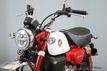 2025 Honda Monkey ABS 1 Available Now! - 22830805 - 1