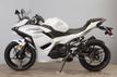 2025 Kawasaki Ninja 500 Available Now! - 22773213 - 3