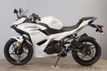 2025 Kawasaki Ninja 500 ABS In Stock Now! - 22683710 - 3