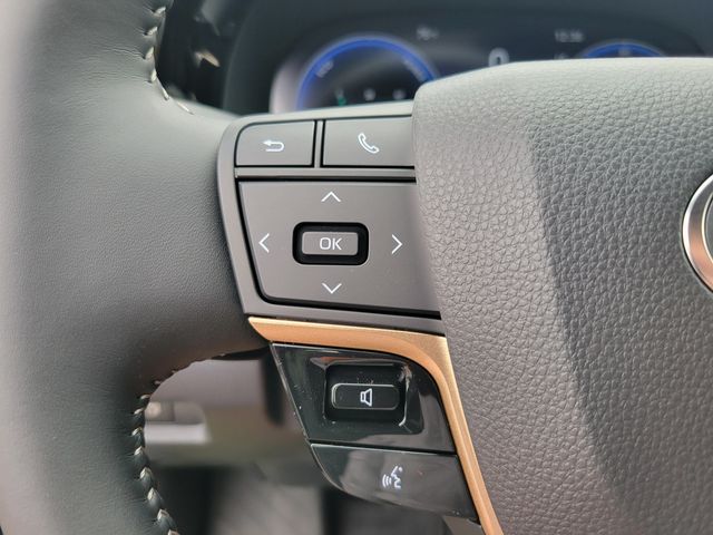 2025 Toyota Crown Signia Limited AWD - 22919753 - 9