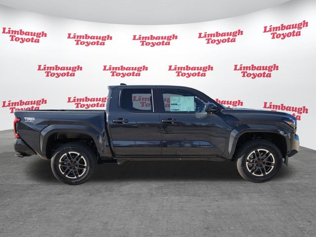 2025 Toyota Tacoma 2WD TRD Sport Double Cab 5' Bed Automatic - 22948143 - 1