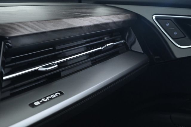 2026 Audi Q4 e-tron Premium Plus 55 quattro - 22915876 - 19