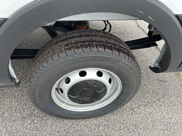 2026 Ford Transit Cargo Van T-250 148" Med Rf 9150 GVWR RWD - 22950966 - 11