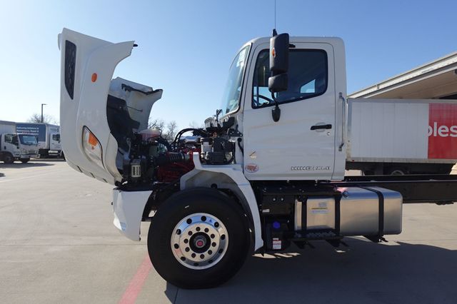 2026 HINO XL8 (Chassis - Diesel) - 22981581 - 55