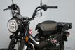 2026 Honda Trail 125 In Stock Now! - 23030113 - 1