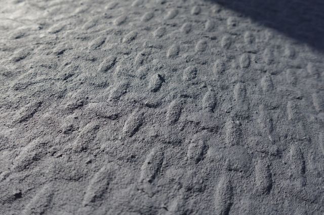 2026 Isuzu NPR HD - Gas (18ft Landscape Truck) - 22991209 - 26