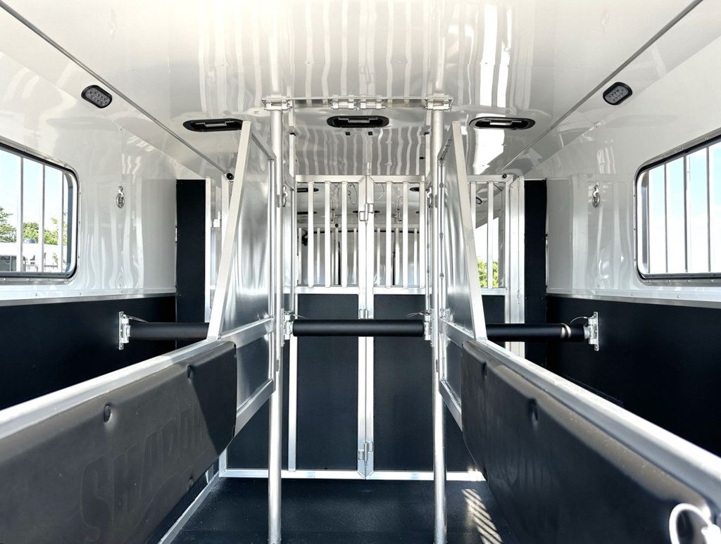 2026 Shadow 6 Horse Head to Head  - 22983824 - 8