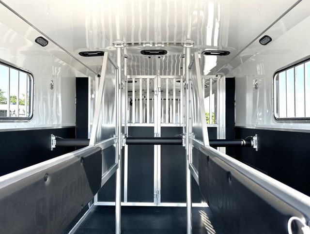 2026 Shadow 6 Horse Head to Head  - 22983824 - 8