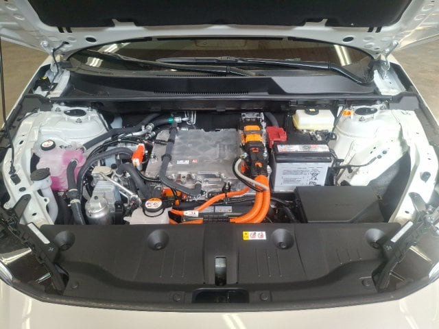 2026 Toyota BZ Woodland bZ Woodland - 23076577 - 28