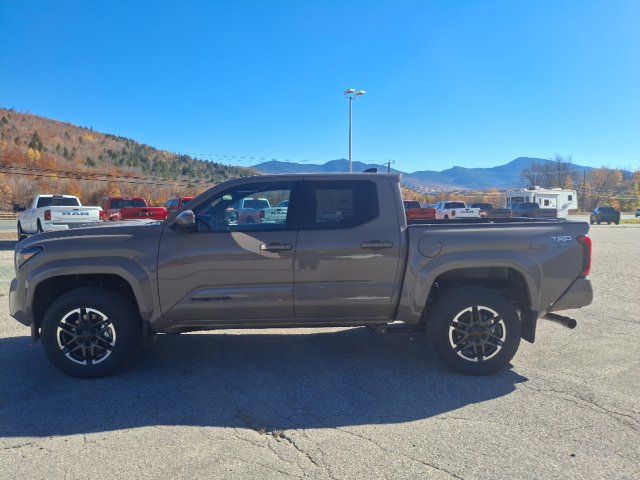 2026 Toyota Tacoma TRD Sport - 23082767 - 3