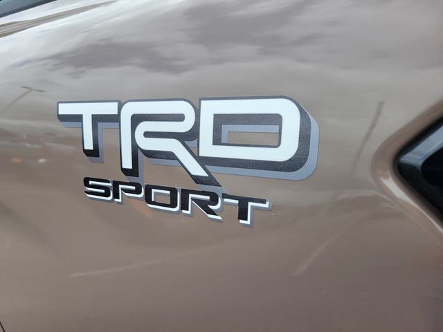 2026 Toyota Tacoma 2WD TRD Sport Double Cab 5' Bed Automatic - 23042140 - 13