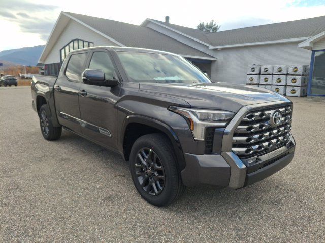 2026 Toyota Tundra Platinum - 23083303 - 32