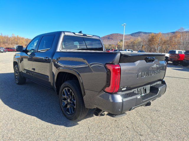 2026 Toyota Tundra Platinum - 23083856 - 4