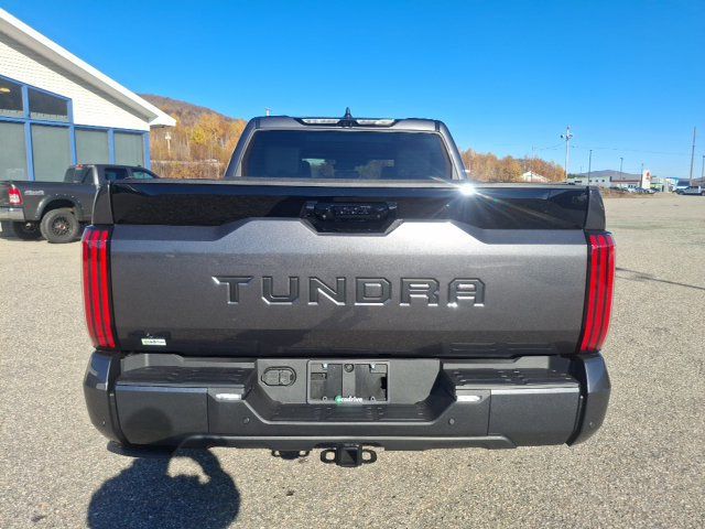 2026 Toyota Tundra Platinum - 23083856 - 5