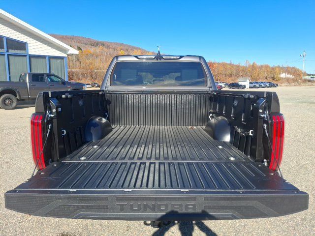 2026 Toyota Tundra Platinum - 23085806 - 28