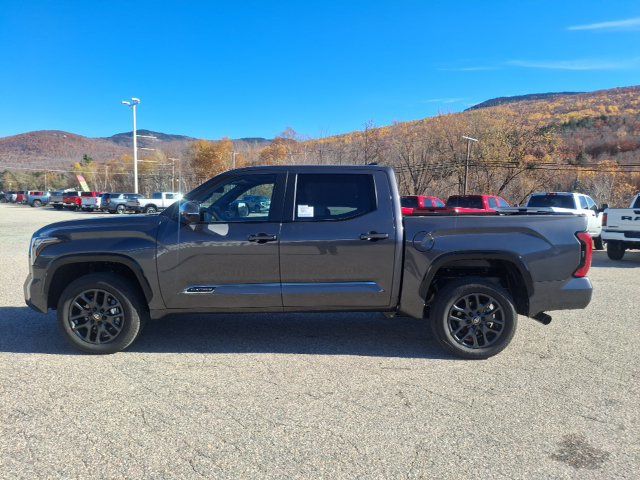 2026 Toyota Tundra Platinum - 23085806 - 3