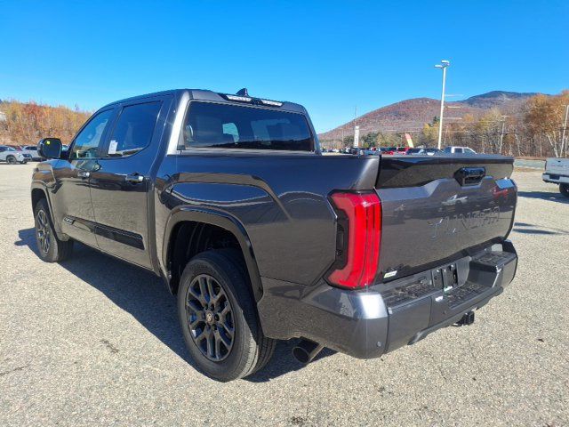 2026 Toyota Tundra Platinum - 23085806 - 4