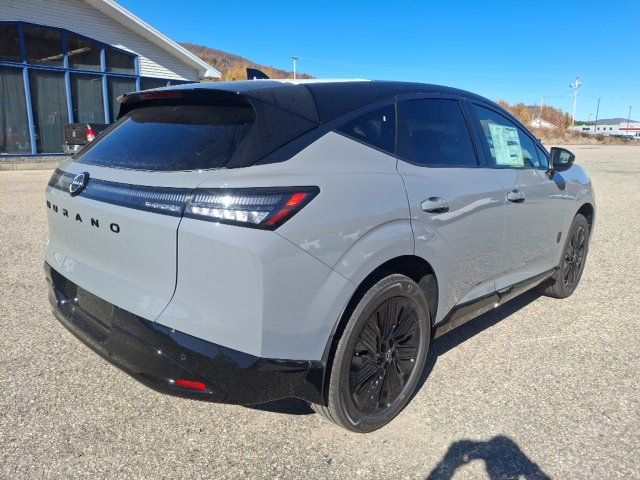 2027 Nissan Murano Dark Armor - 23099453 - 6