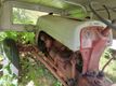 1948 Ford 8N Tractor For Sale - 22286933 - 4