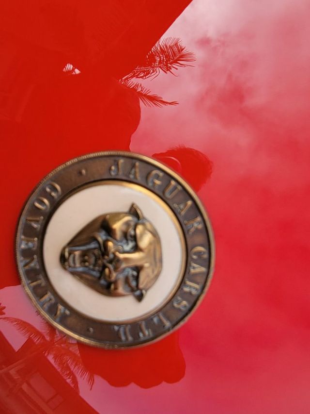 1953 Jaguar XK 120 ROADSTER XK120 ROADSTER - 20983647 - 46