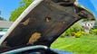 1955 Oldsmobile Holiday 98 Hardtop For Sale - 23037839 - 92