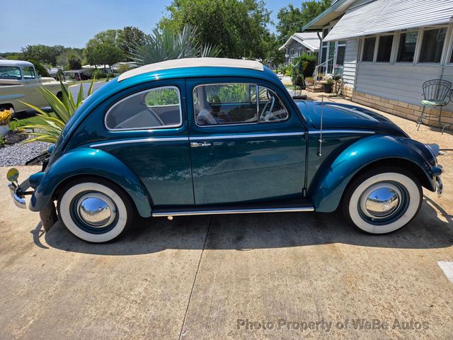 1955 Used Volkswagen Beetle Ragtop 3 Fold Bug For Sale at WeBe