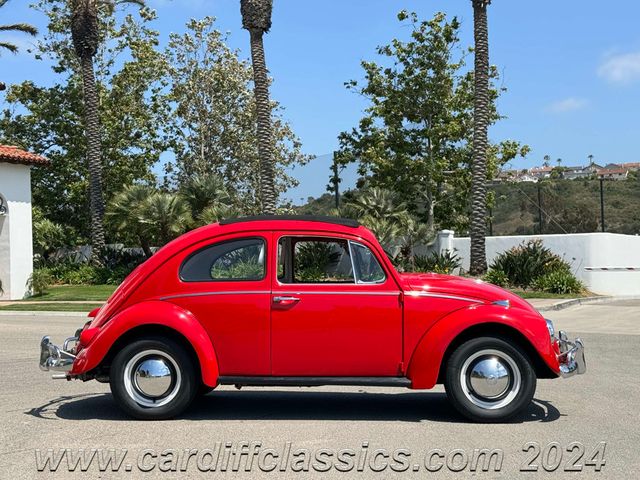 1956 Volkswagen Beetle  - 21297566 - 3