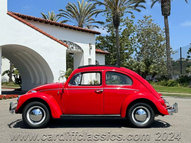 1956 Volkswagen Beetle  - 21297566 - 4