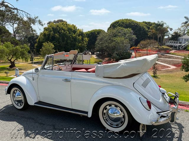 1962 Volkswagen Beetle  - 23016581 - 23