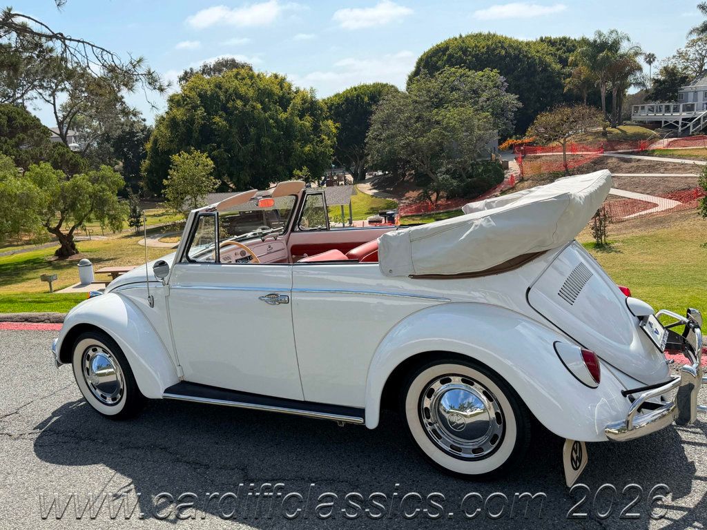 1962 Volkswagen Beetle  - 23016581 - 24