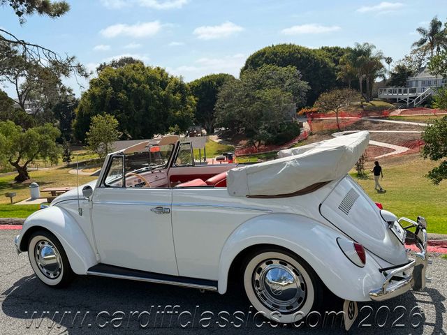 1962 Volkswagen Beetle  - 23016581 - 25