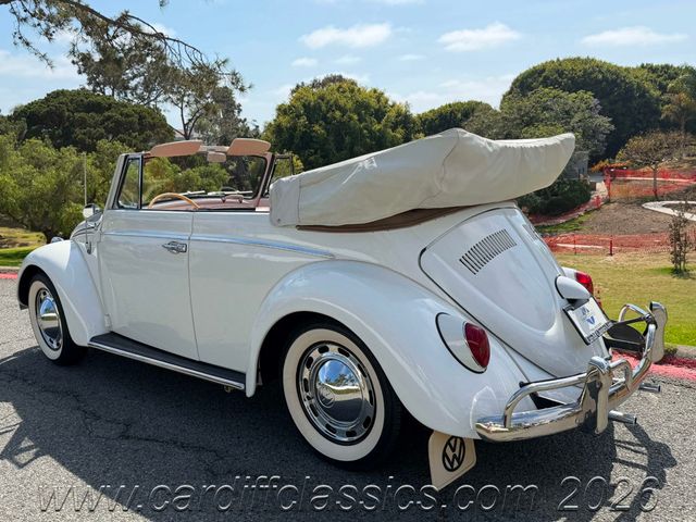 1962 Volkswagen Beetle  - 23016581 - 29
