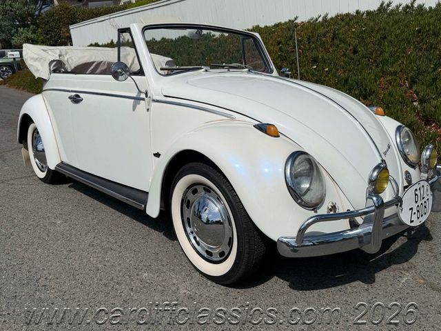 1962 Volkswagen Beetle  - 23016581 - 50