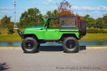 1963 Nissan Patrol V8-Powered, Fully Built Off-Road Rig - 22963891 - 16