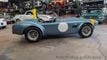1964 Shelby Cobra FIA 50th Anniversary Limited Edition For Sale - 22813917 - 3