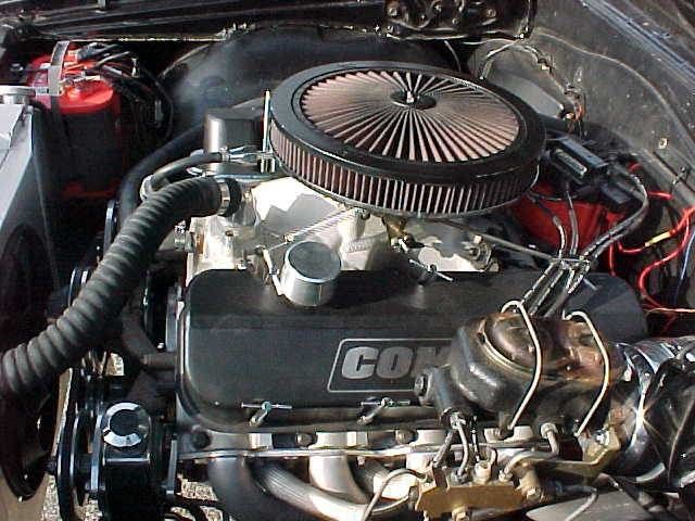 1965 Chevrolet Chevelle SS - 22218220 - 18