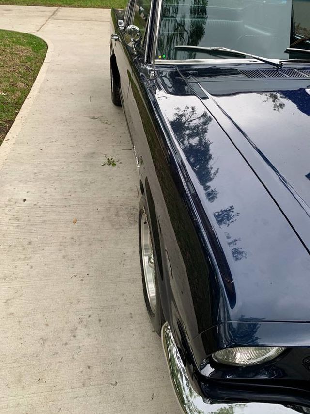 1965 Used Ford Mustang Fastback at Gotham Motorsports
