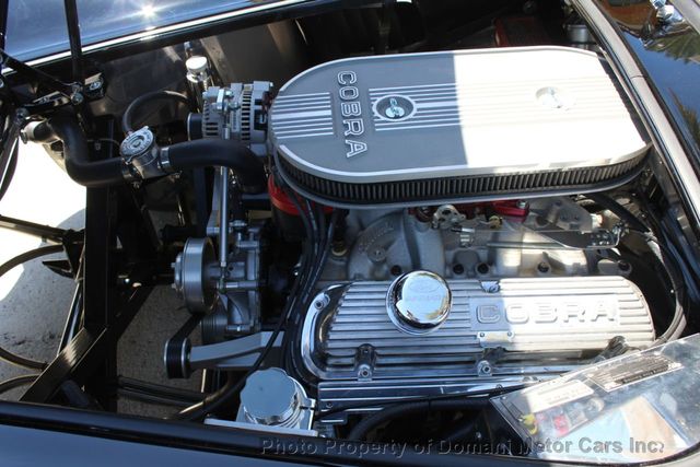 1965 Shelby COBRA OWN FOR $ 749 @ MONTH  , OVER $ 200K INVESTED  - 20255435 - 24