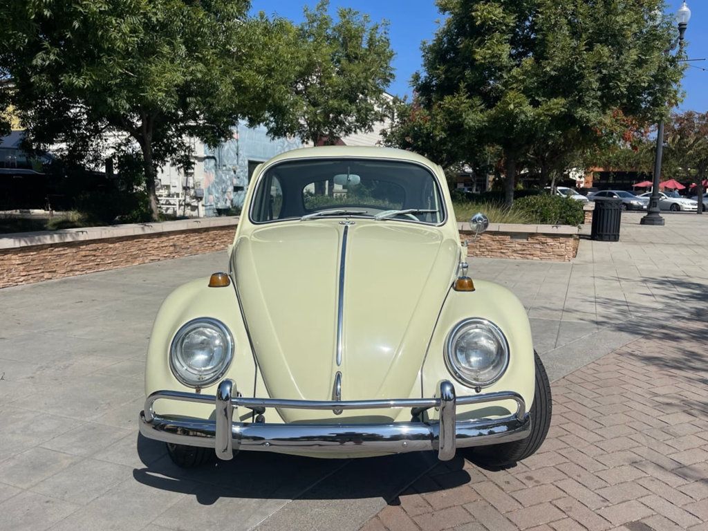 1965 Volkswagen Beetle  - 22608647 - 3