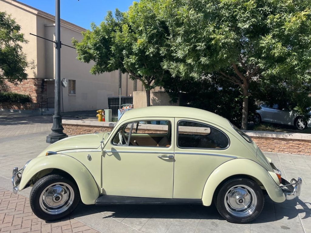 1965 Volkswagen Beetle  - 22608647 - 5