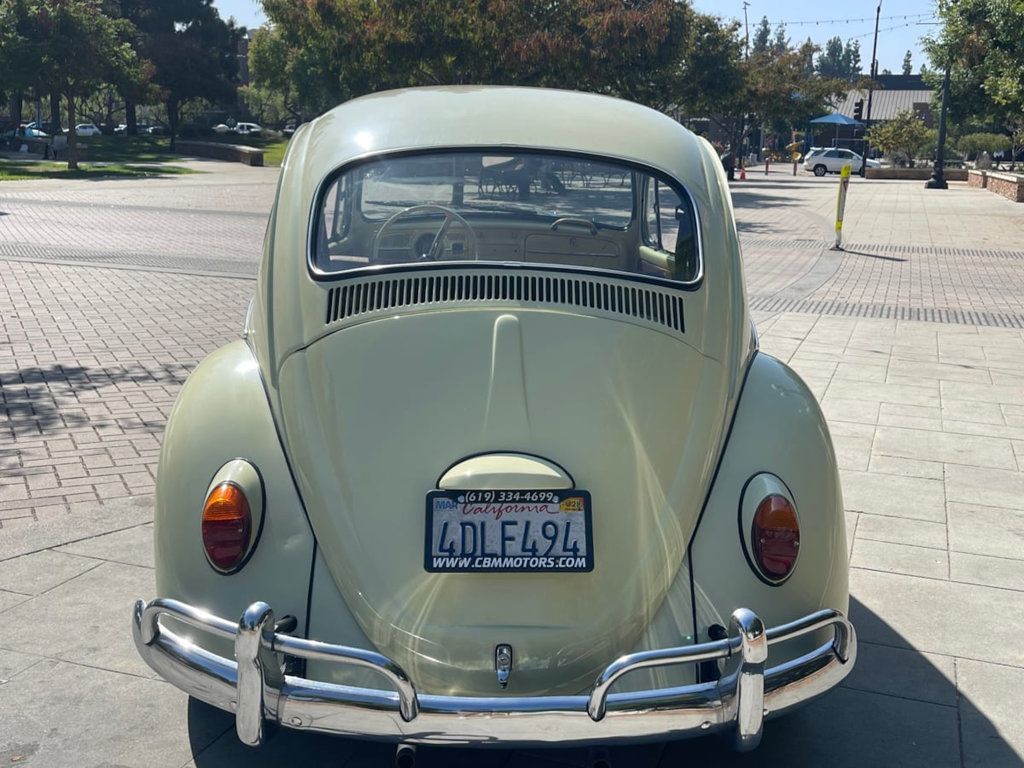 1965 Volkswagen Beetle  - 22608647 - 6