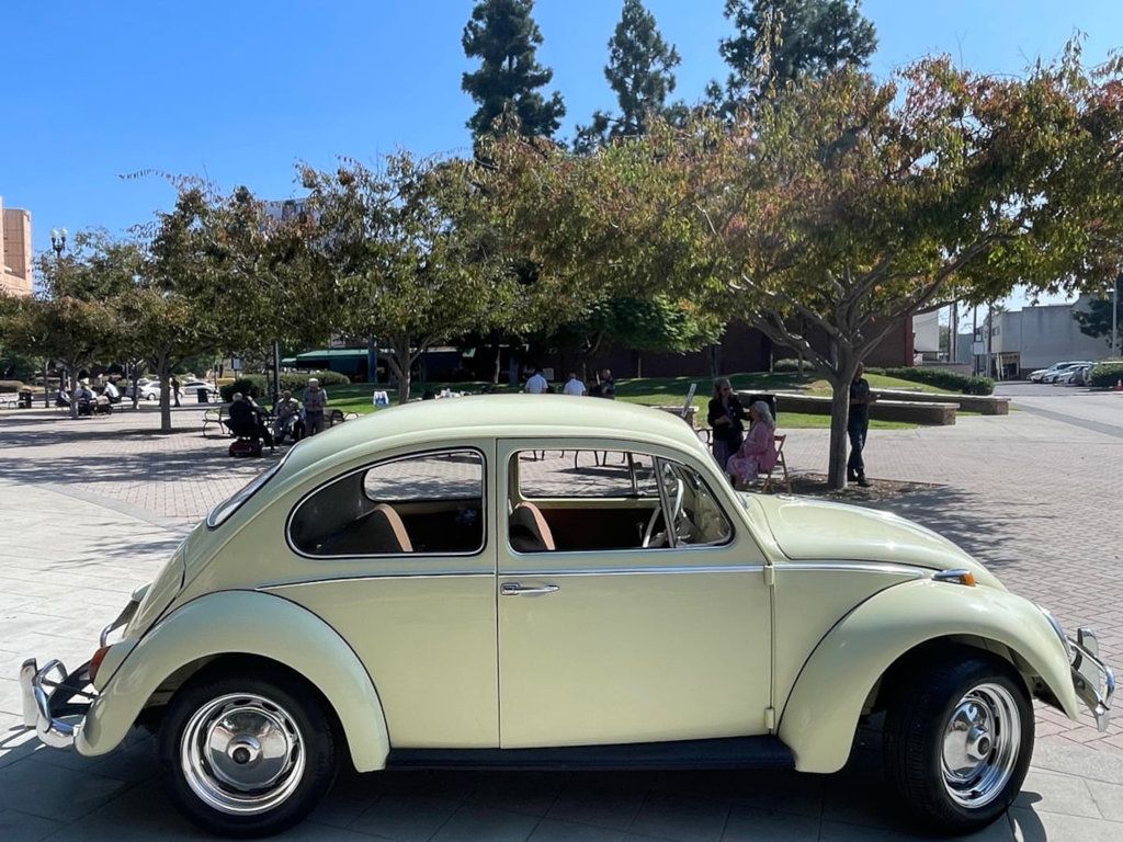 1965 Volkswagen Beetle  - 22608647 - 7