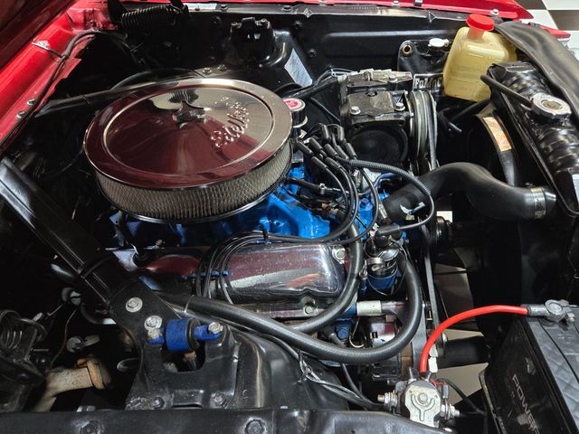 1966 Ford Mustang GT FASTBACK - 23083323 - 98