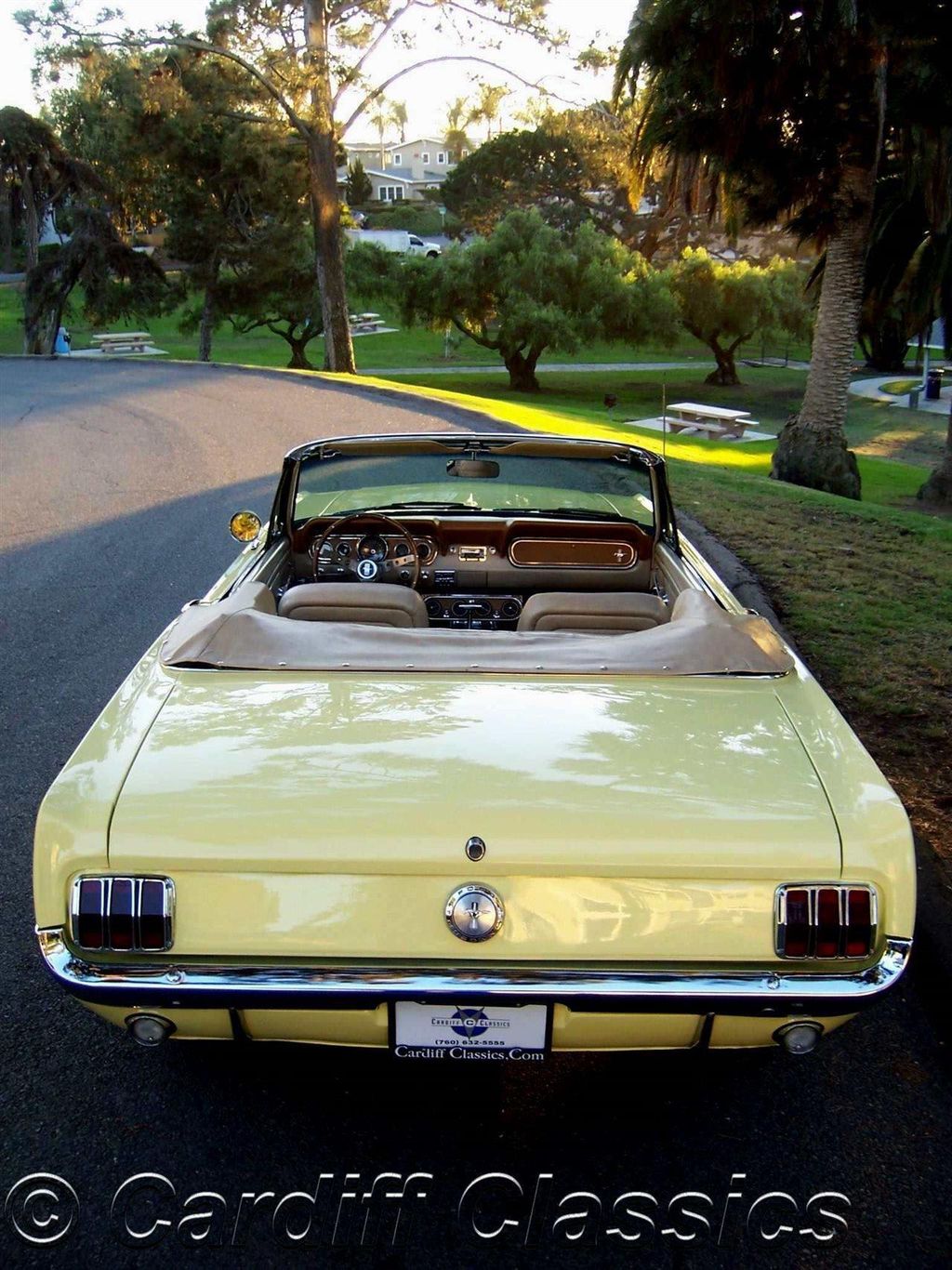 1966 Ford Mustang Convertible 289 V8 - 12945407 - 11